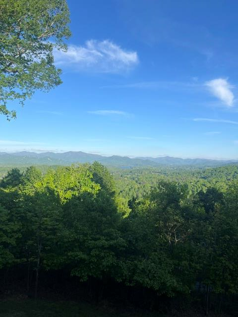 219 Lakeview Dr, Hayesville, NC 28904 - #1