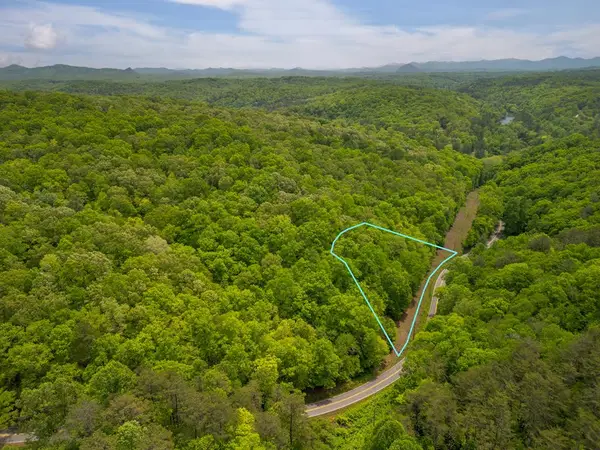 2.90Acre Galloway Road, Blue Ridge, GA 30513
