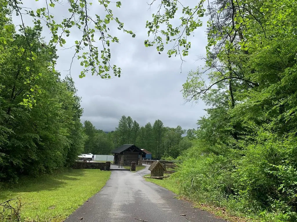 46A&46B Scottie Mountain Circle, Murphy, NC 28906 - #1