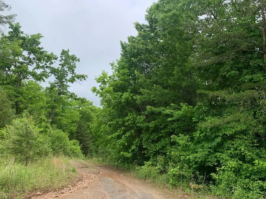 46A&46B Scottie Mountain Circle, Murphy, NC 28906 - #2