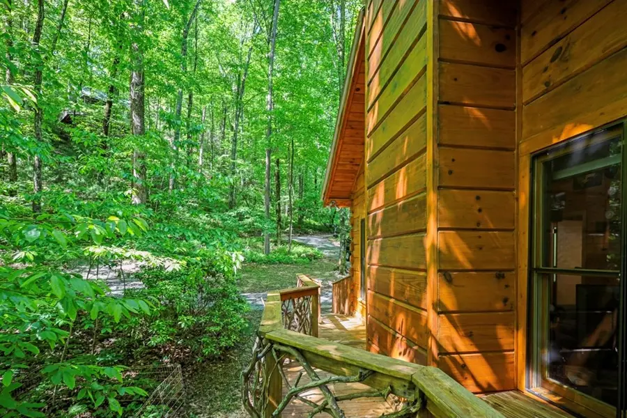 163 Little Rock Creek Trail, Cherry Log, GA 30522 - #3