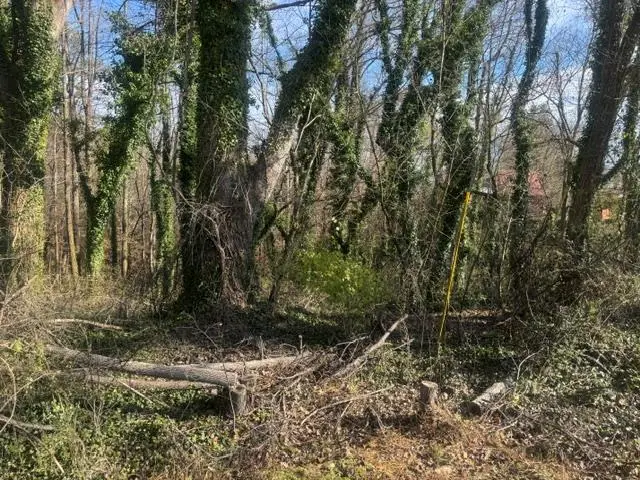 .90 acre Highland Street, Blue Ridge, GA 30513 - #2