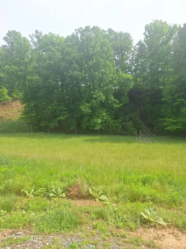 Lot 67 Hillside, Morganton, GA 30560