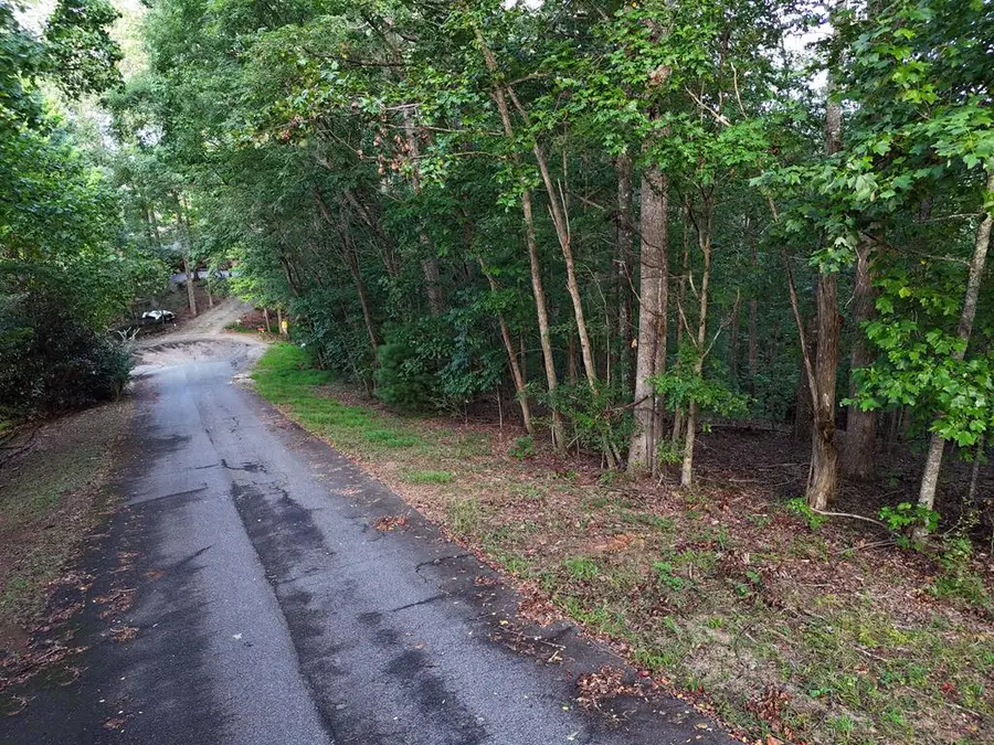 L 48C Byron Street, Blairsville, GA 30512 - #2