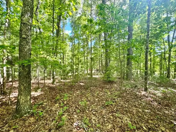 LT 3 Rockridge Road, Murphy, NC 26906