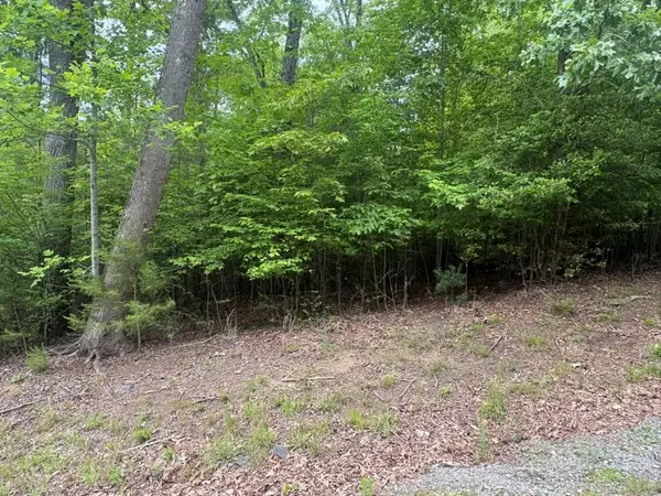 LOT 18 Lost River Trail, Hayesville, NC 29004