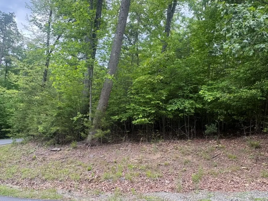 LOT 18 Lost River Trail, Sweetwater, NC 29004 - #3