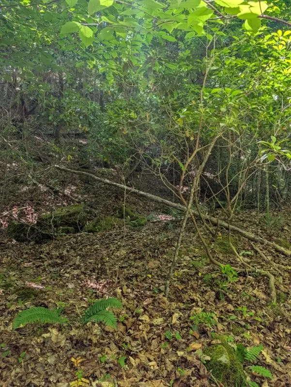 00 Talc Mine Road, Murphy, NC 28906 - #3