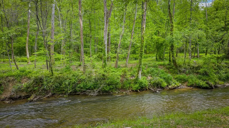 Lots 1-4 Cool Creek Way, Epworth, GA 30541 - #3