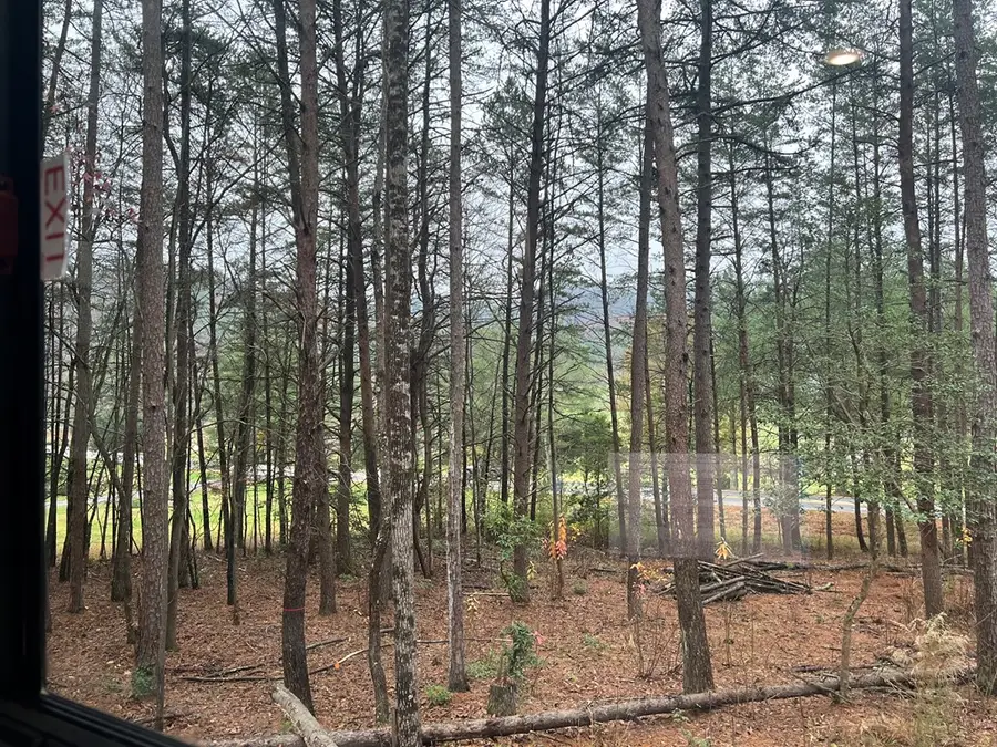 Lot 5 Morganton Hwy, Suches, GA 30572 - #3