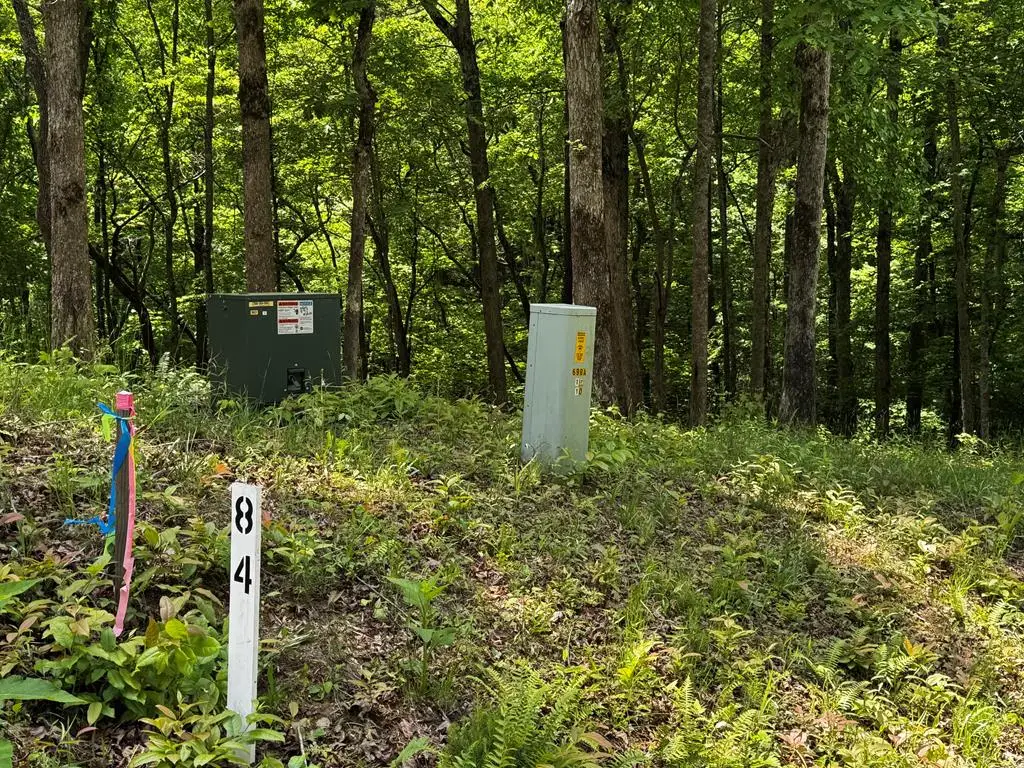 84 Cedar Road, Ellijay, GA 30540 - #1