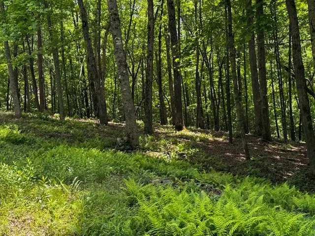 84 Cedar Road, Ellijay, GA 30540 - #3
