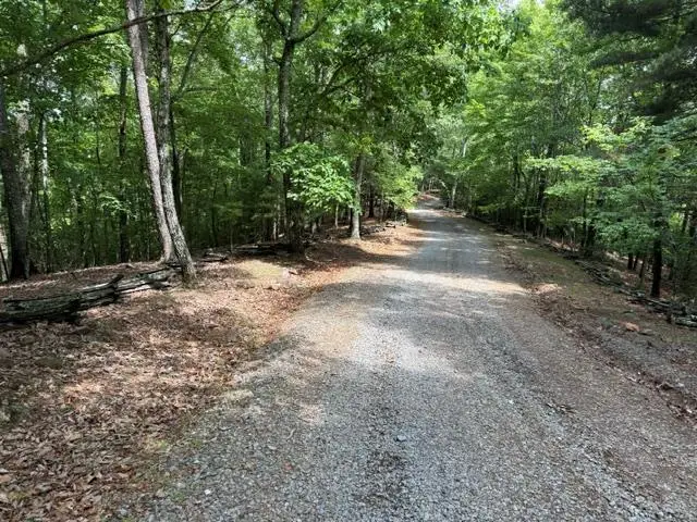 28.4 AC Black Dog Trail, Blue Ridge, GA 30513 - #1