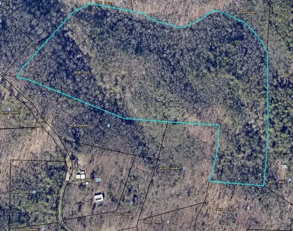 28.4 AC Black Dog Trail, Blue Ridge, GA 30513