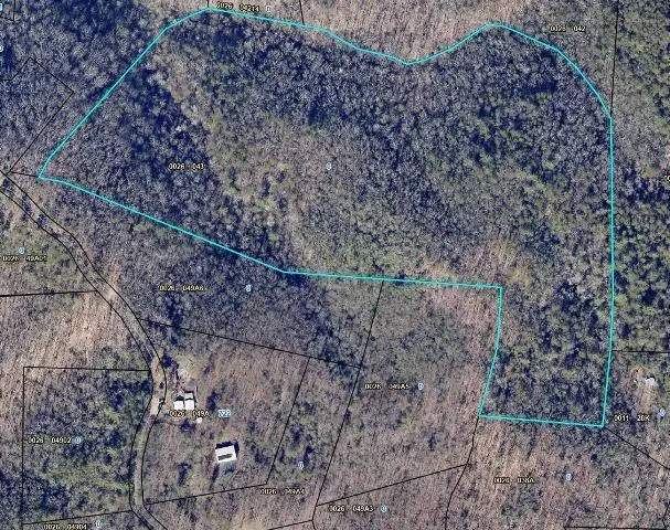28.4 AC Black Dog Trail, Blue Ridge, GA 30513 - #2