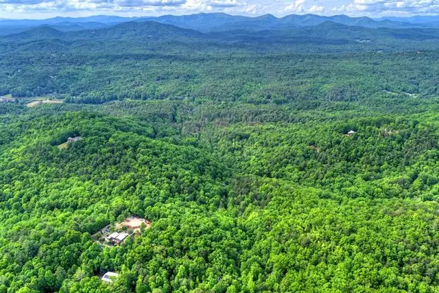 28.4 AC Black Dog Trail, Blue Ridge, GA 30513 - #3