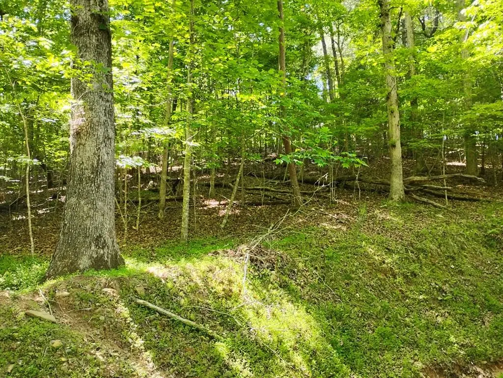 0 Gladstone Court, Ellijay, GA 30540 - #1
