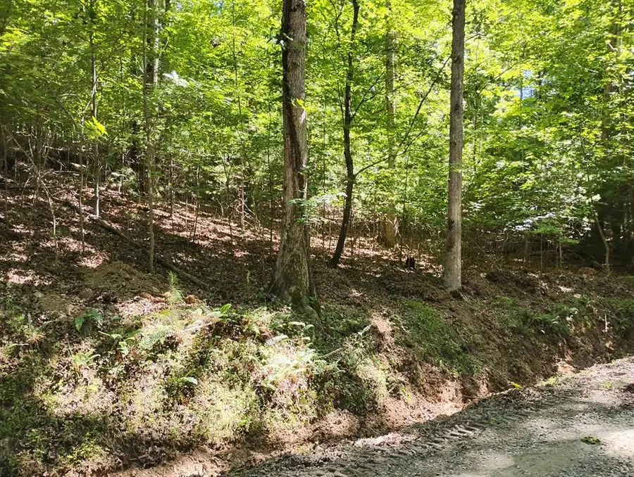 0 Gladstone Court, Ellijay, GA 30540 - #2