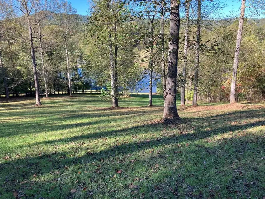 121 White Oak Drive, Warne, NC 28909 - #3
