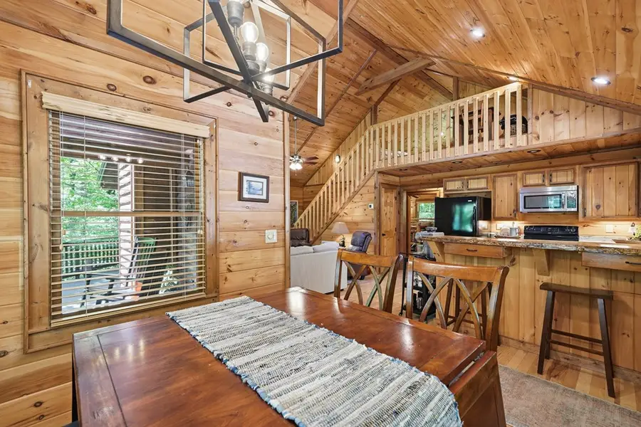 284 The Woods Road, Mineral Bluff, GA 30559 - #3