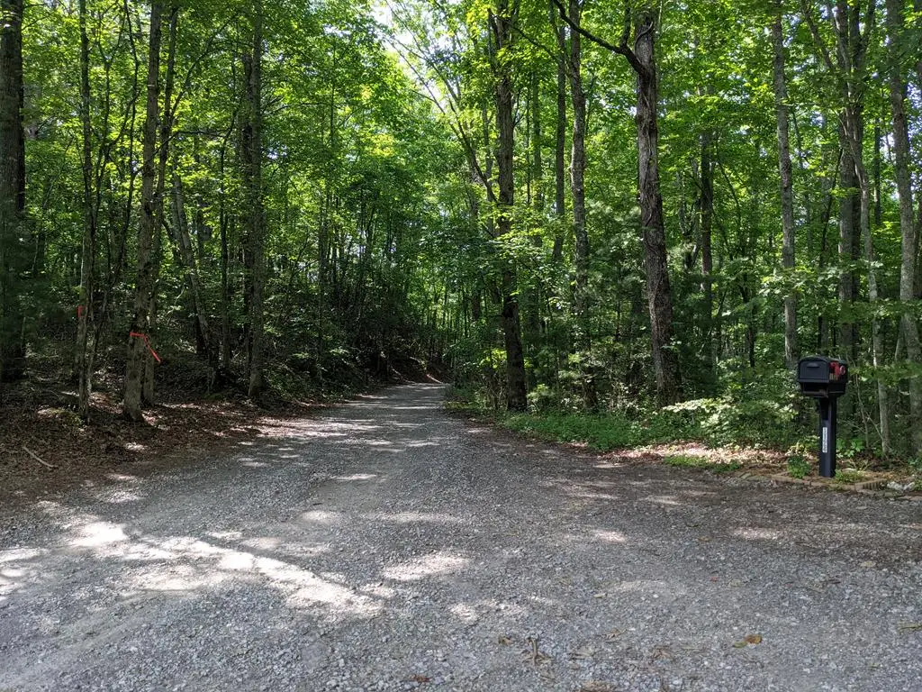 000 Town Mountain Road, Hayesville, NC 28906 - #1