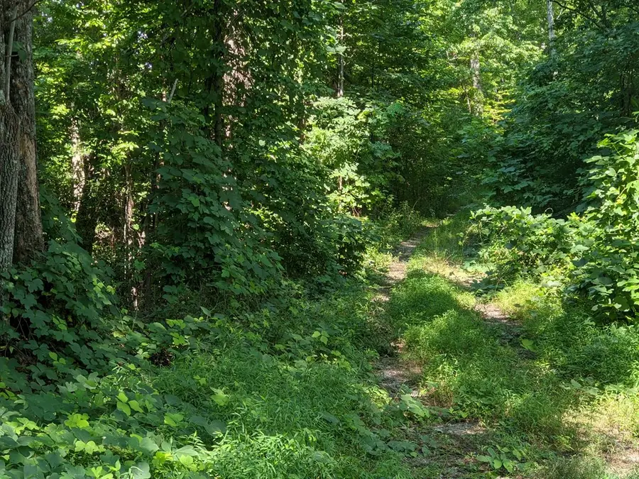 000 Town Mountain Road, Hayesville, NC 28906 - #2