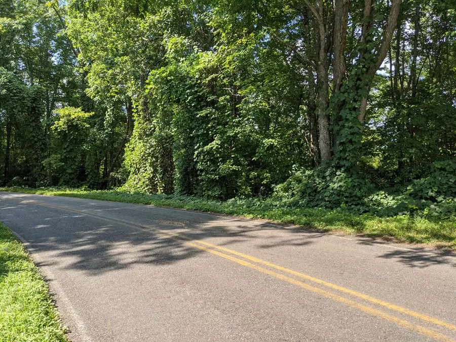 000 Town Mountain Road, Hayesville, NC 28906 - #3