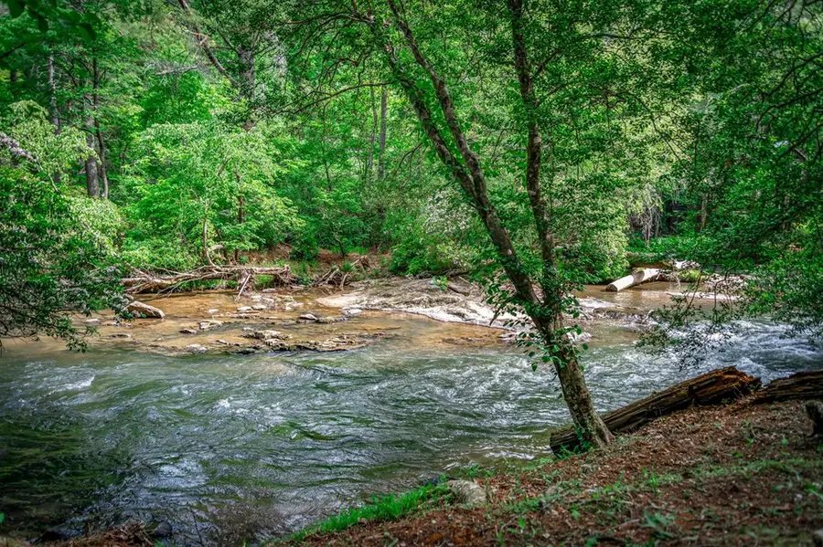 329 Blackberry Falls Lane, Ellijay, GA 30536 - #3