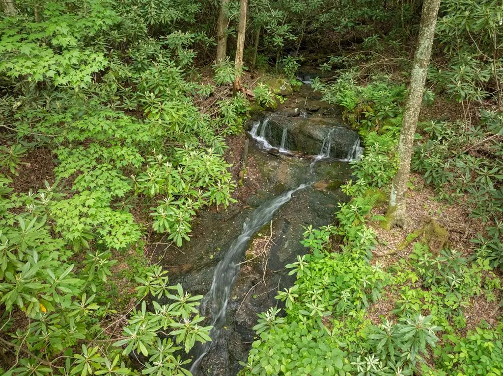 00 Walnut Cove Road, Robbinsville, NC 28771 - #1