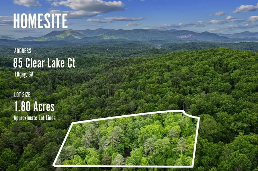 85 Clear Lake, Ellijay, GA 30540 - #3