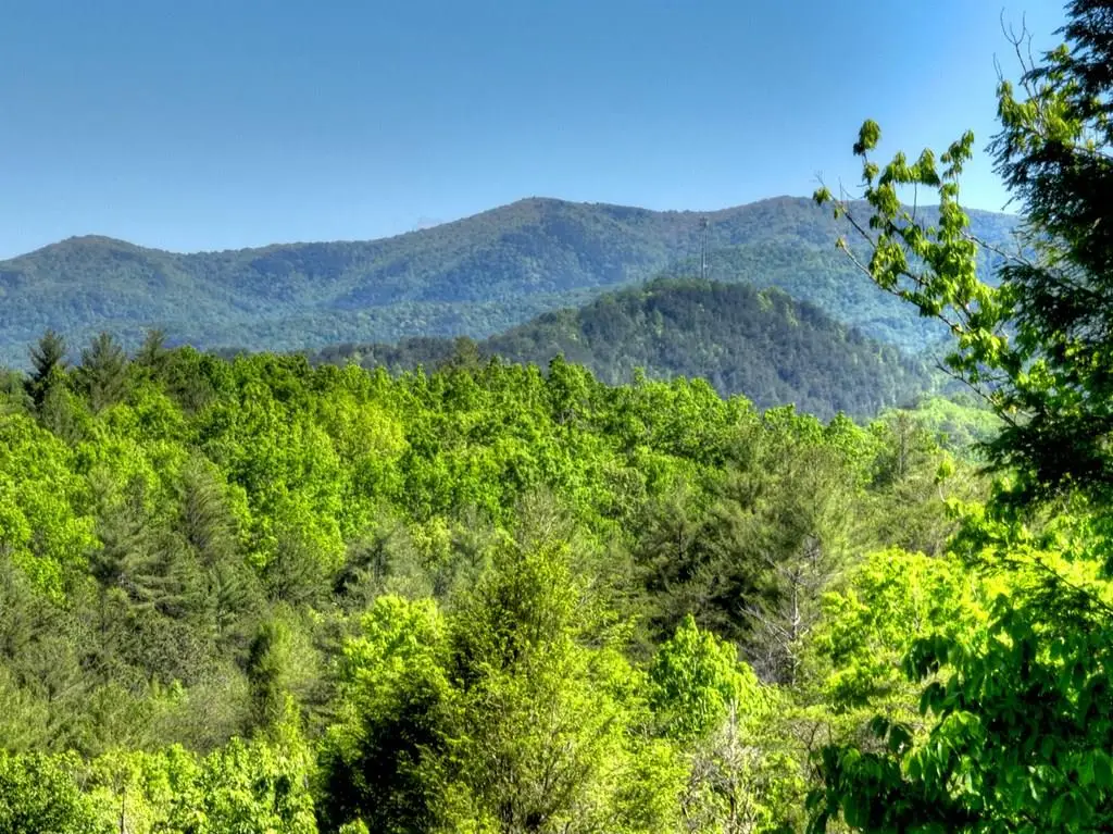 352 Messer Drive, Copperhill, TN 37317 - #1