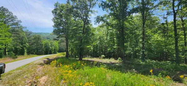 LT 90 Barrell Knot Court, Ellijay, GA 30536