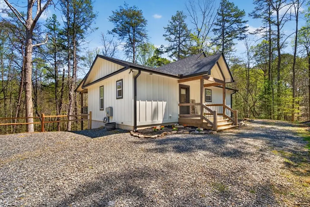 54 Barbs Way, Mineral Bluff, GA 30559 - #1