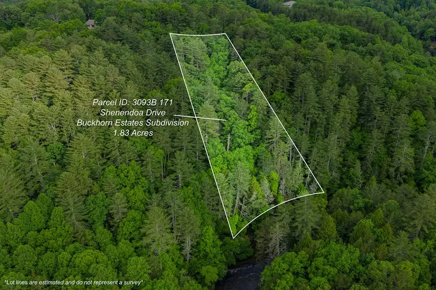 Lot 171 Shenendoa Drive, Ellijay, GA 30540 - #2