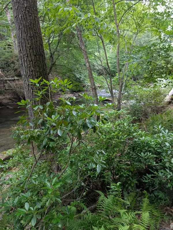 Lot 32 Byers Road, Blairsville, GA 30512