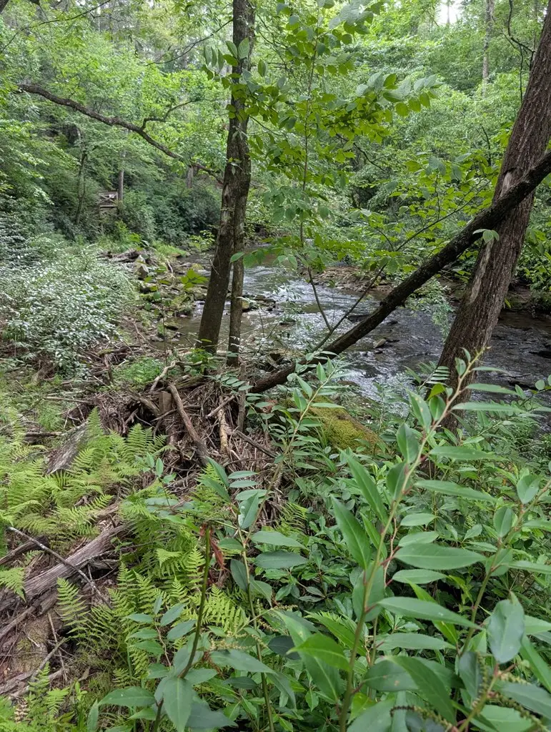 Lot 32 Byers Road, Blairsville, GA 30512 - #2