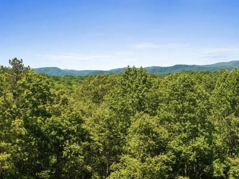 100 Blueberry Road, Blue Ridge, GA 30513 - #3