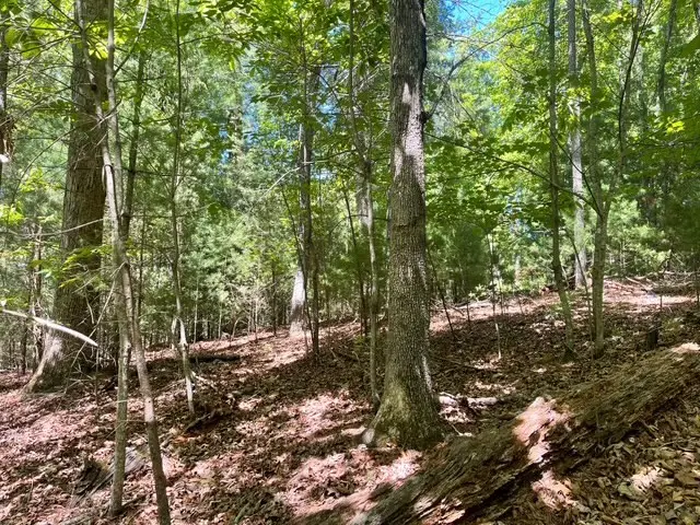 Lot 2 Mount Pleasant Ridge Road, Blairsville, GA 30512 - #3