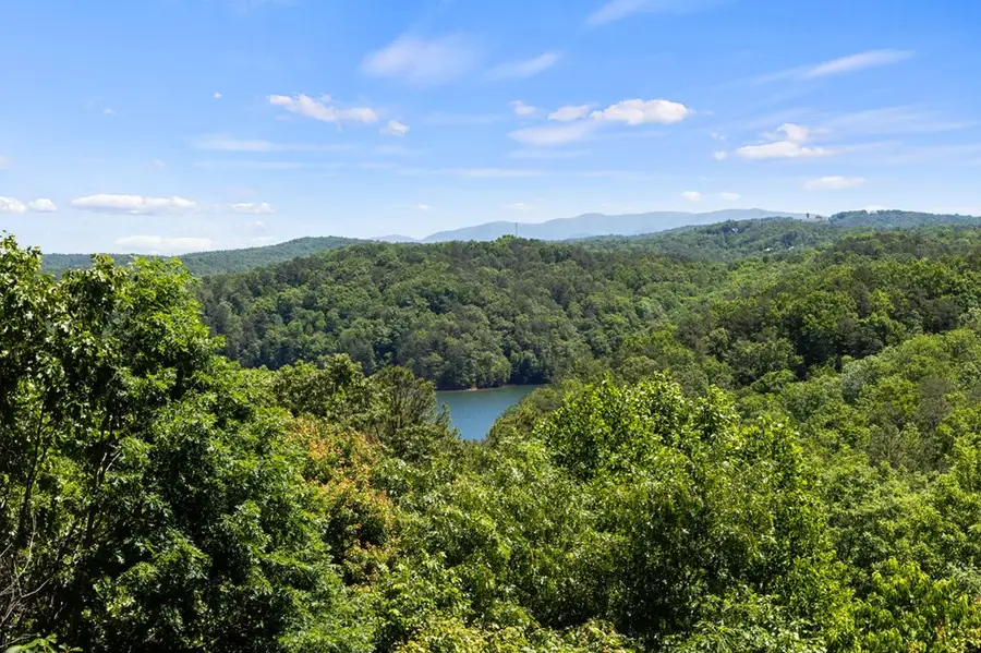 122 Zane Drive, Ellijay, GA 30540 - #3