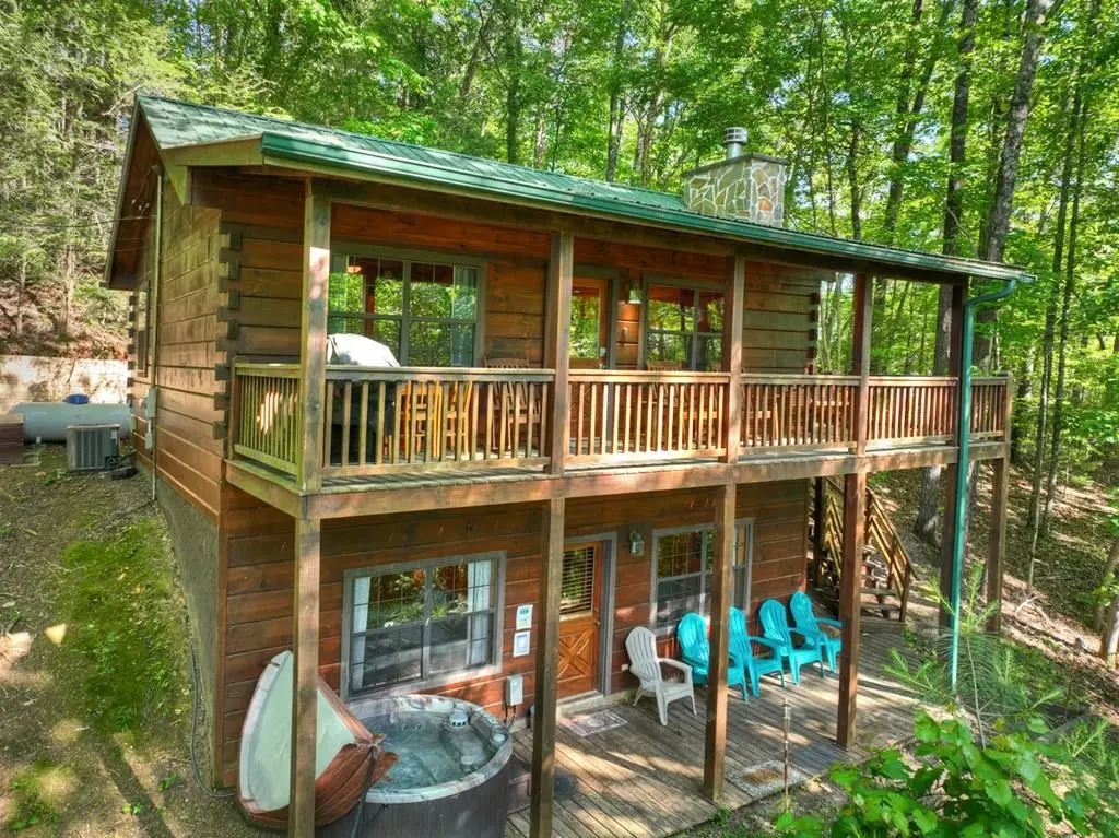 423 Laurel Creek Road, Blue Ridge, GA 30513 - #1