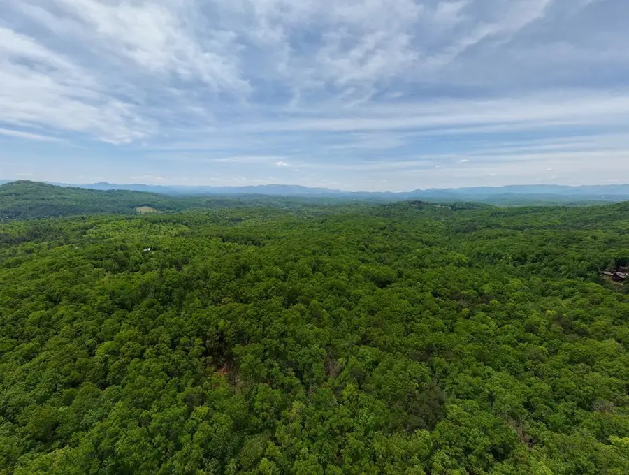 57.30 AC Stuart View Drive, Mineral Bluff, GA 30512 - #3