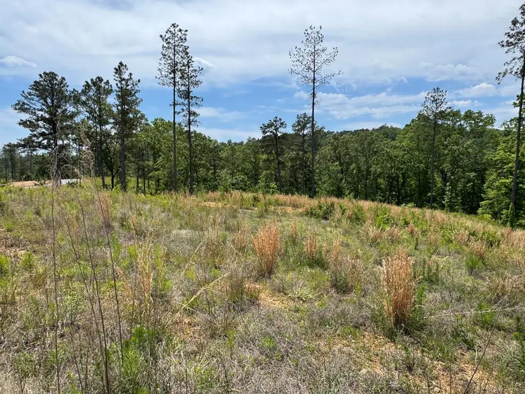 Lot 243 Spear Point Dr, Talking Rock, GA 30175 - #1