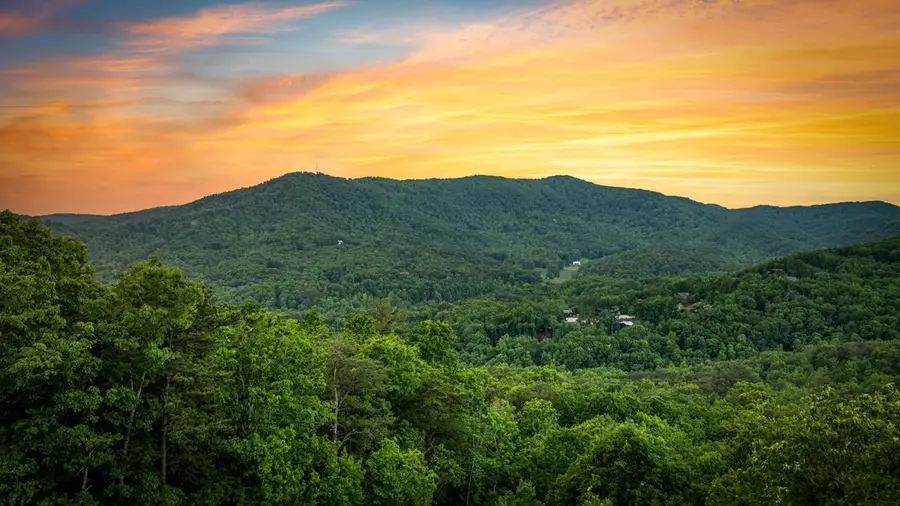 58 Overlook Way, Blue Ridge, GA 30513 - #3