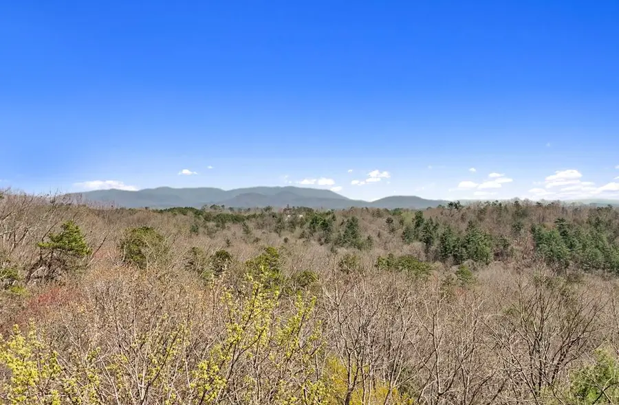 83 AC Legion Road, Ellijay, GA 30540 - #3