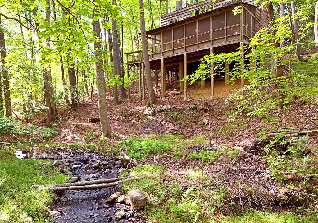 214 Sourwood Drive, Blue Ridge, GA 30513 - #1