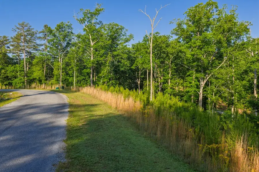 Lot 179 Canoe Point, Ellijay, GA 30540 - #3