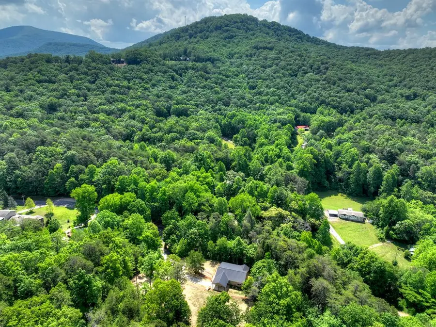 2113 Turniptown Road, Ellijay, GA 30536 - #3