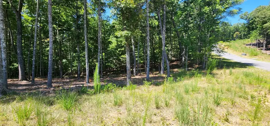 Lot 51 Ridge Drive, Morganton, GA 30560 - #3