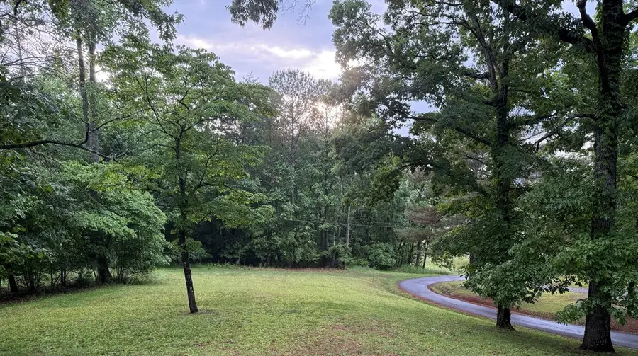134 Acorn Lane, Warne, NC 28909 - #3