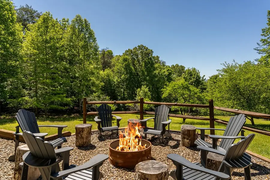 229 Old Mill Pond Road, Mineral Bluff, GA 30559 - #3
